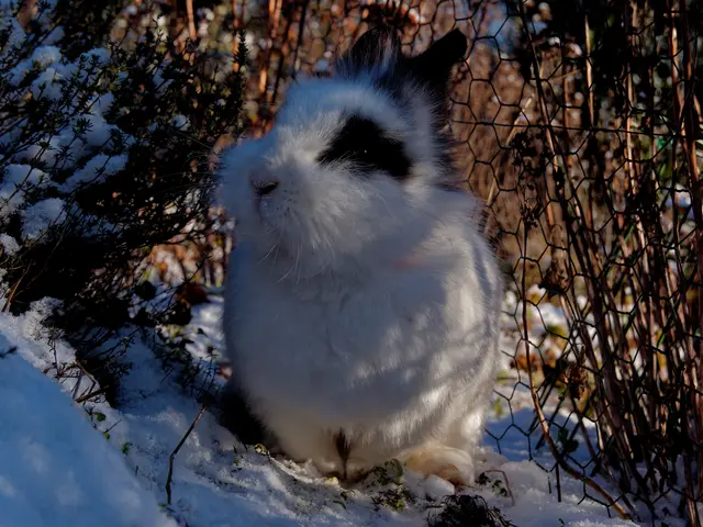 Foto: Eigenes Bild TB