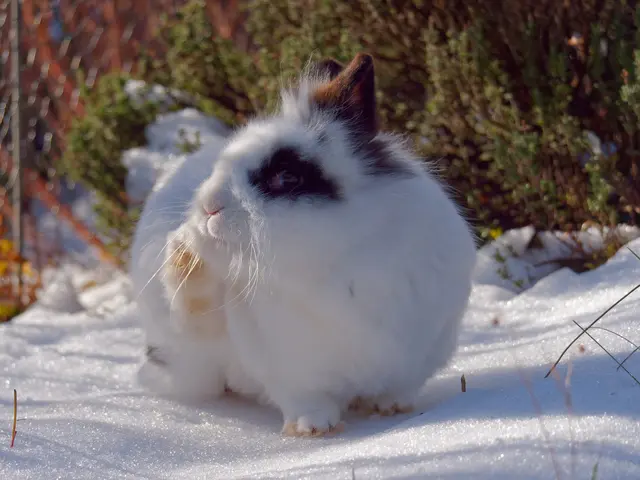 Foto: Eigenes Bild TB