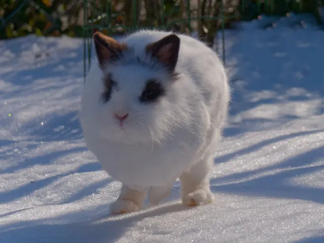 Foto: Eigenes Bild TB