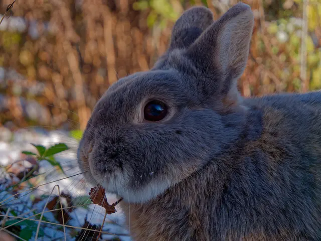 Foto: Eigenes Bild TB