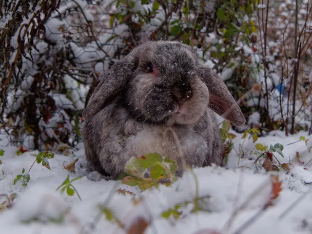 Foto: Eigenes Bild TB