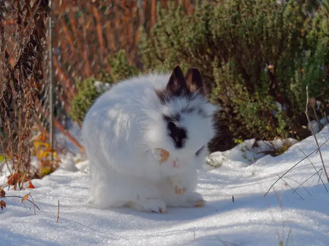 Foto: Eigenes Bild TB