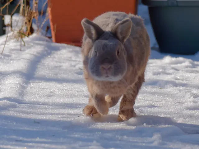 Foto: Eigenes Bild TB