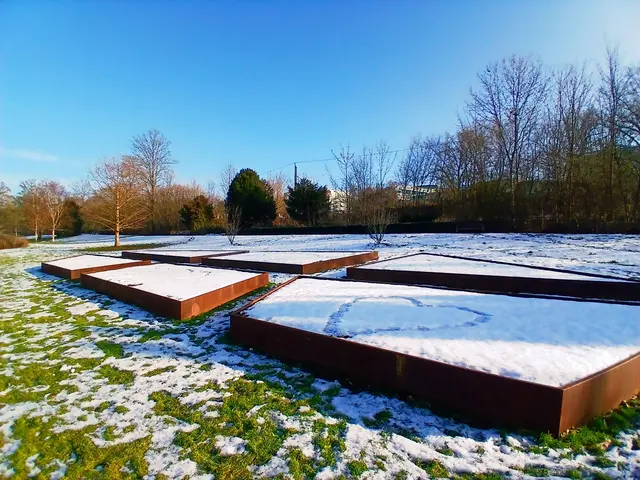 Ein oder eine Romantiker/in hat die Beete mit Herzen ❤️ 💙 💜 versehen 😊. | Foto: sigischlottke