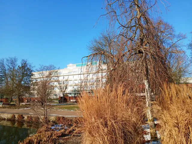 Blick über Gräser und See auf die Kraichgau-Klinik. | Foto: sigischlottke