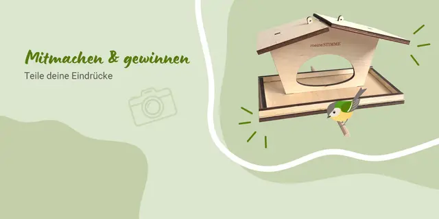 Zeige uns in einem Beitrag oder Schnappschuss was dir auf der Heimatreporter-Ausstellung ins Auge gefallen ist und gewinne ein meine.stimme Vogelhäuschen.  | Foto: HSt-Grafik