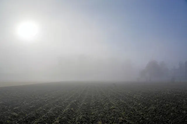 Acker mit Bäumen und Sonne | Foto: Ulrich Seidel