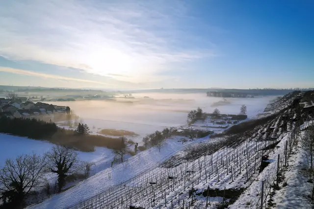 vorne rechts die Steillagen Weinberge mit Schneelandschaft und leichtem Nebel | Foto: Ulrich Seidel