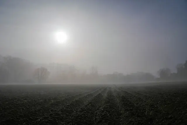 Acker mit Bäumen und Sonne | Foto: Ulrich Seidel