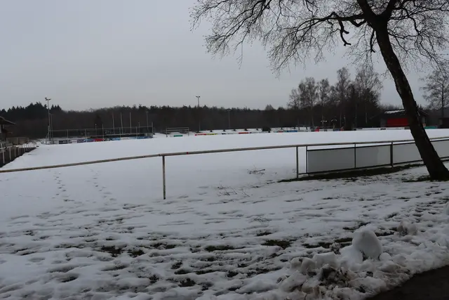 verschneite Sportanlage in Assamstadt | Foto: Marga Specht