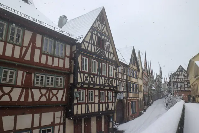 Foto: Daniela Harrer