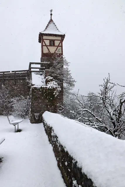 Foto: Daniela Harrer