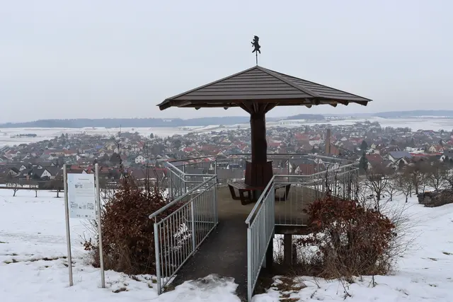 Schlackohrenpilz mit Blick auf Assamstadt | Foto: Marga Specht