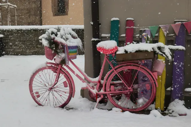 Fröhliche Farben im Schnee | Foto: Daniela Harrer
