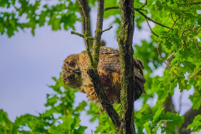 Hallo, Du siehst mich nicht!  | Foto: Gülay Sween