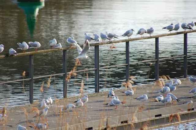 Foto: Heidrun Rosenberger