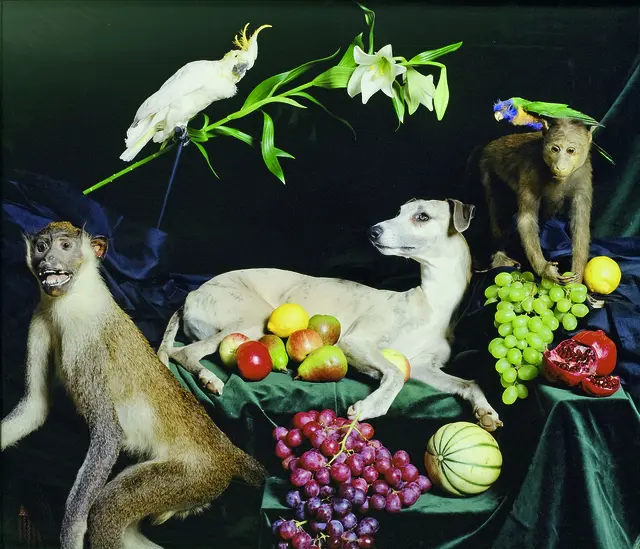 06 _ Nadin Maria Rüfenacht, Helden 4, aus der Serie: Nature Morte I, 2005
Lambda Druck , Sammlung Würth Inv. 10860 ©Nadin Maria Rüfenacht, Courtesy Künstlerin und Galerie KLEINDIENST, Leipzig | Foto: Philipp Schönborn, München 