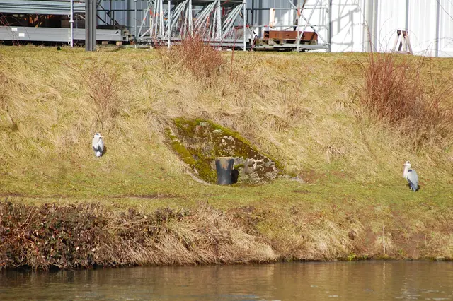 Foto: Heidrun Rosenberger