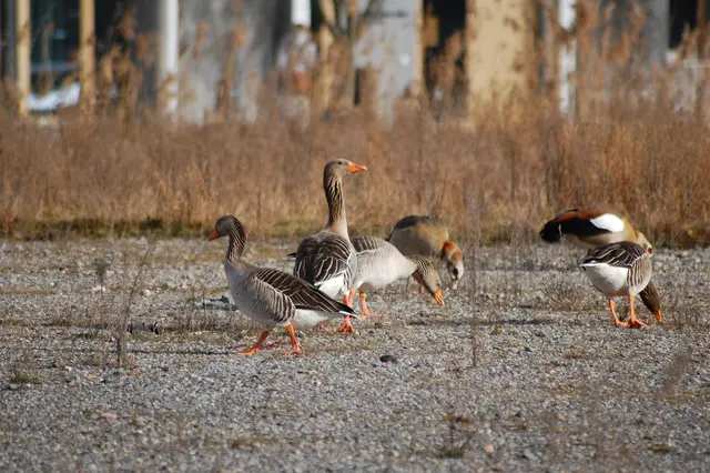 Foto: Heidrun Rosenberger