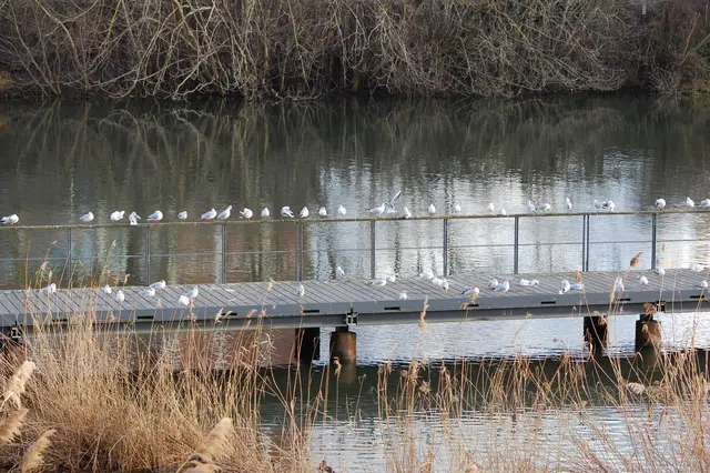 Foto: Heidrun Rosenberger