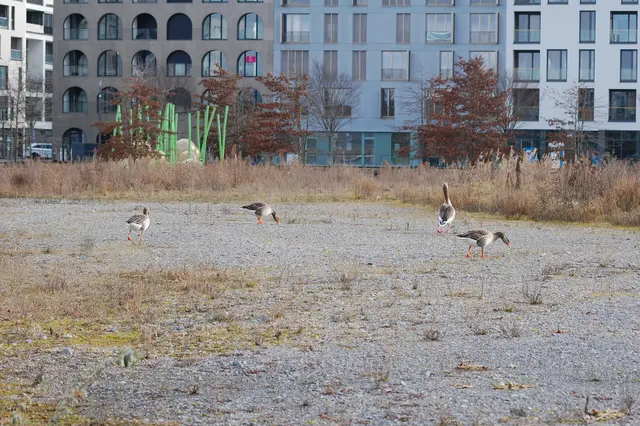 Foto: Heidrun Rosenberger