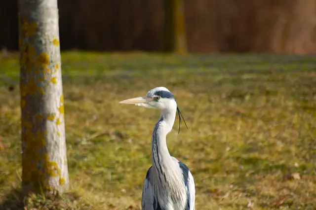 Foto: Heidrun Rosenberger