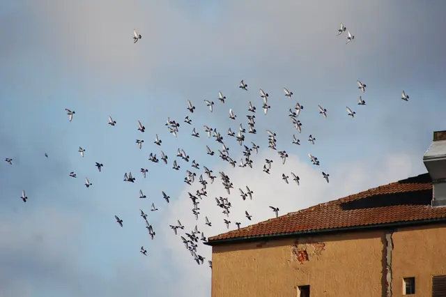 Foto: Heidrun Rosenberger