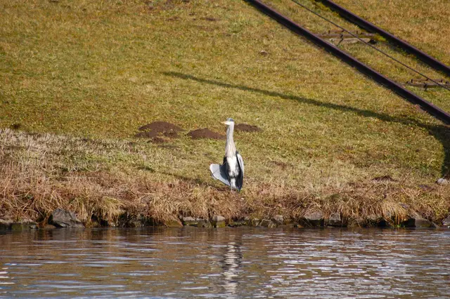 Foto: Heidrun Rosenberger