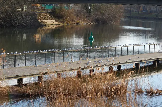 Foto: Heidrun Rosenberger