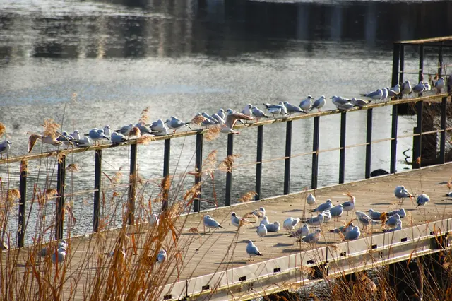 Foto: Heidrun Rosenberger
