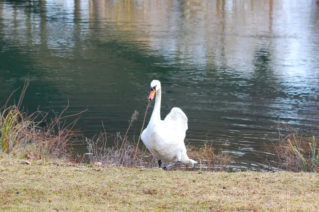 Foto: Heidrun Rosenberger