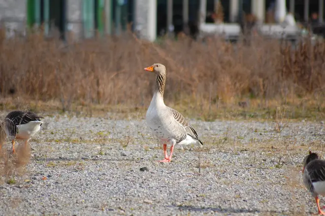 Foto: Heidrun Rosenberger