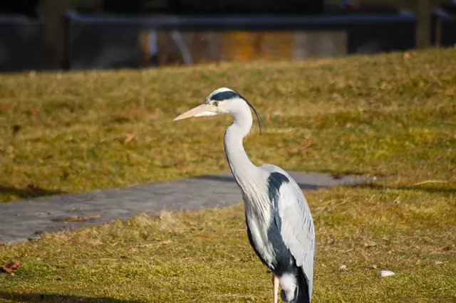 Foto: Heidrun Rosenberger