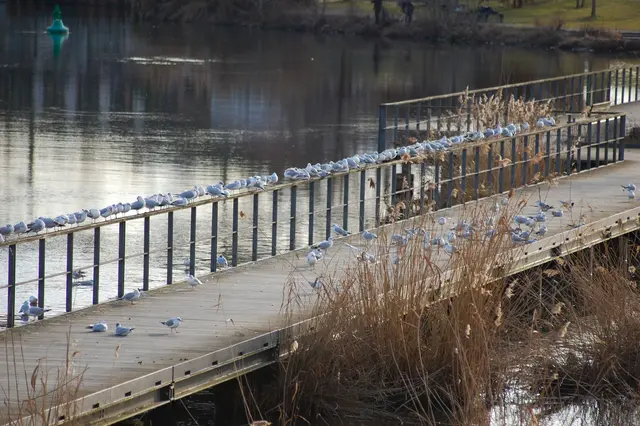 Foto: Heidrun Rosenberger