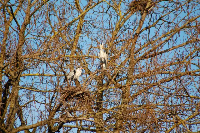 Foto: Heidrun Rosenberger
