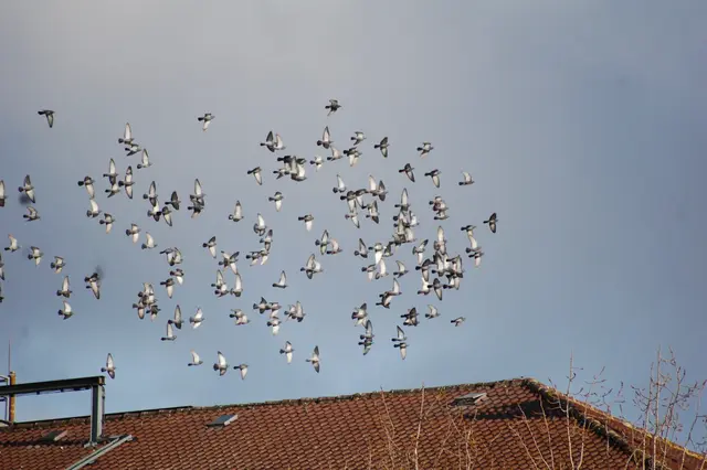 Foto: Heidrun Rosenberger