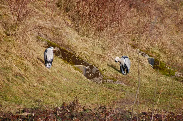 Foto: Heidrun Rosenberger