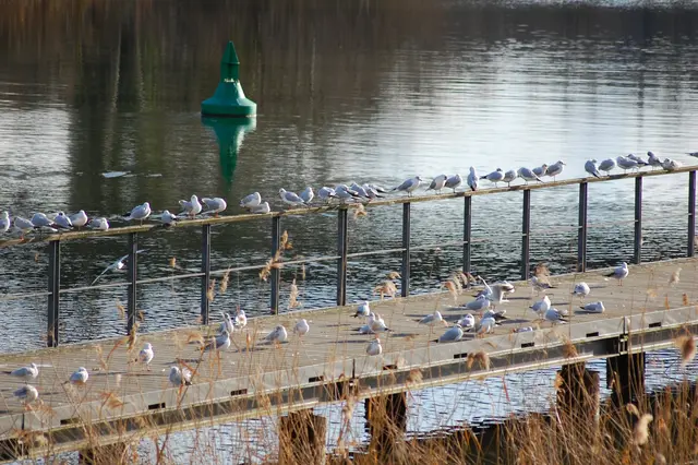 Foto: Heidrun Rosenberger