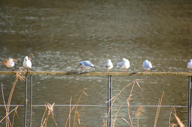 Foto: Heidrun Rosenberger