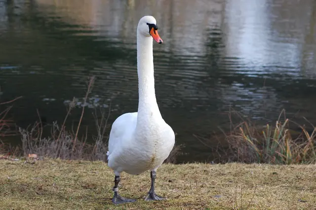 Foto: Heidrun Rosenberger