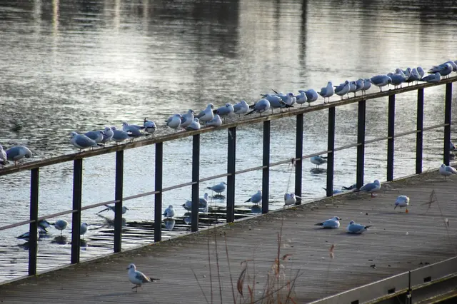 Foto: Heidrun Rosenberger