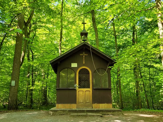 Die Christ-Königs-Kapelle im Kocherwald bei Jagstfeld. Ein Stück Heimat und ein Kraftort der besonderen Art. Sie steht auf auf einem Hügelgrab der späten Bronzezeit (1200 - 700 v. Chr.). | Foto: Hans Peter Schmitt