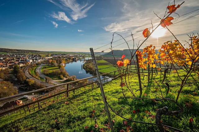 Am Michaelsberg in Gundelsheim | Foto: Alle gezeigten Fotos sind Eigentum von Gerd Tiedtke