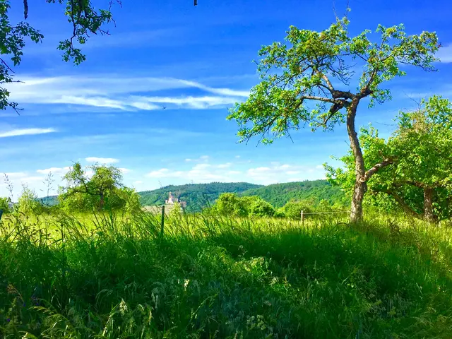 Foto: Heide Böllinger aus Bad Friedrichshall