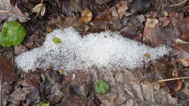 Foto: Eigene Aufnahme