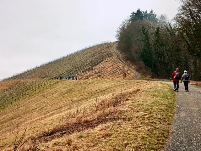 Die Wanderer marschieren um den Scheuerberg herum - denn der schmale Pfad im Bild, der direkt auf den Berg führt, ist matschig und rutschig.  | Foto: sigischlottke
