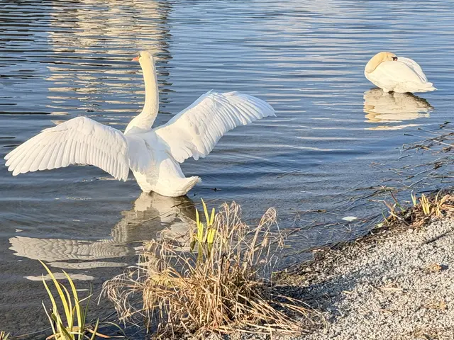 Foto: Heide Böllinger aus Bad Friedrichshall