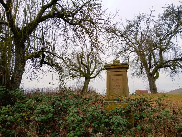 Ein Gedenkstein kurz vor Binswangen.  | Foto: sigischlottke