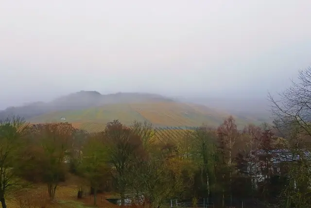 Die Landschaft wirkt im Nebel total mystisch.  | Foto: sigischlottke