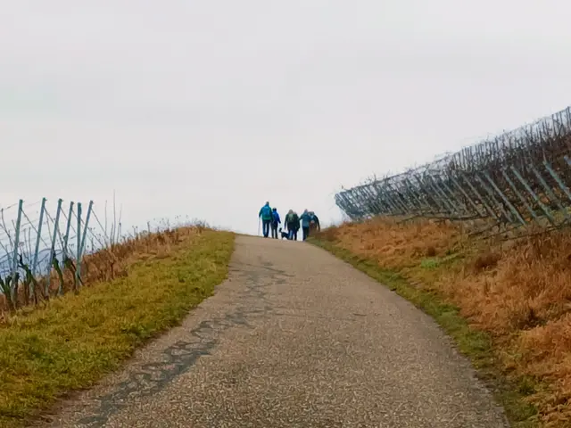 Dort laufen sie..... | Foto: sigischlottke